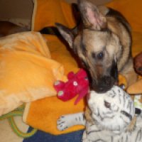 16804276_1829204350661158_598680787507812195_o