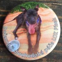 14390946_1395820830441759_6921717168042008791_n