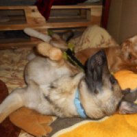 16819318_1829204447327815_6703697478872124419_o