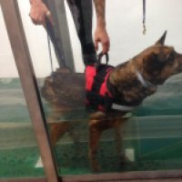 32767074_2025385854350404_3482968703232901120_n