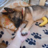 16904917_1829202140661379_3495406293336658559_o